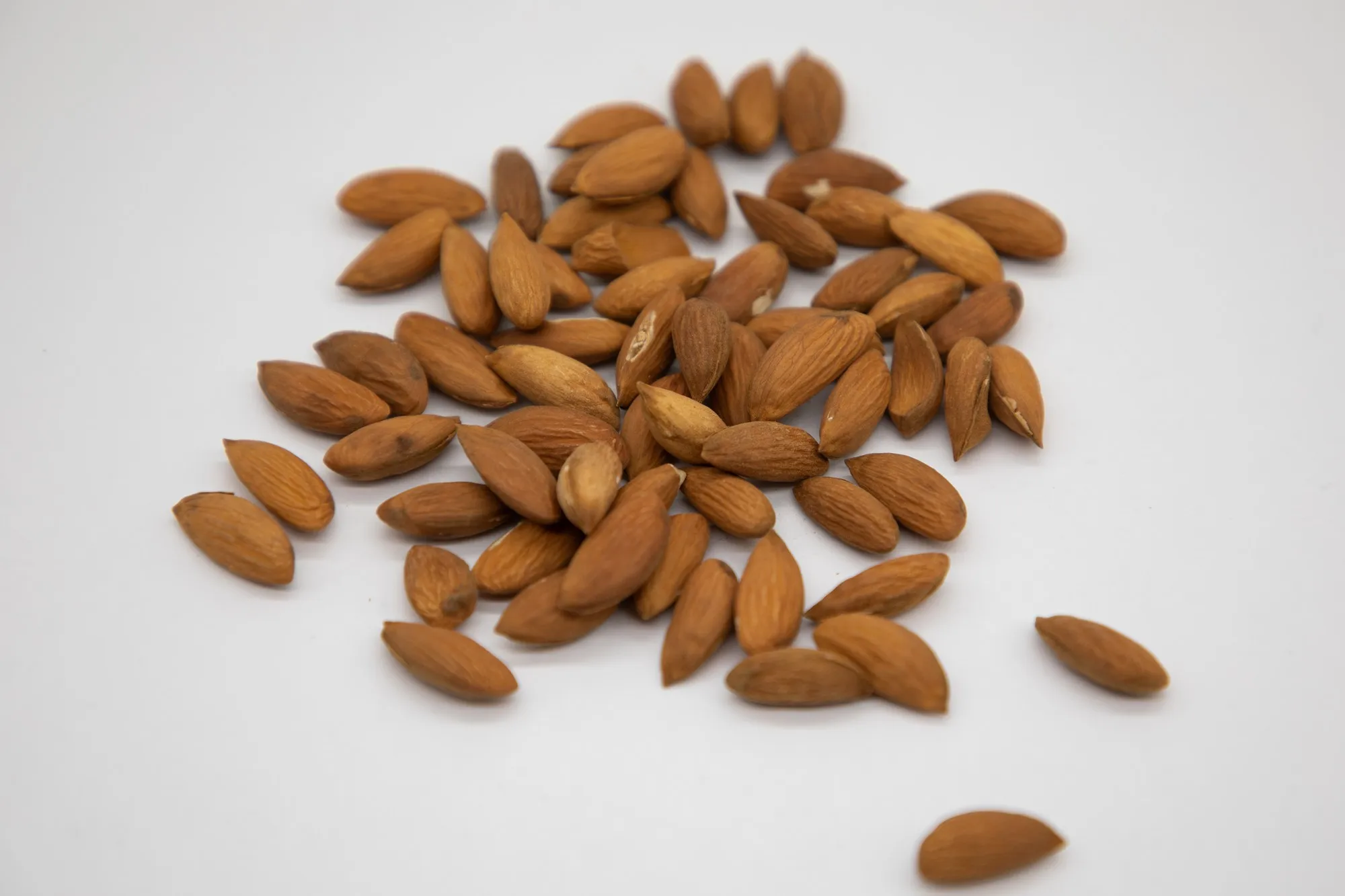Healthy snack top grade organic almond kernels shelled almonds nuts in bulk from Uzbekistan manufacturer