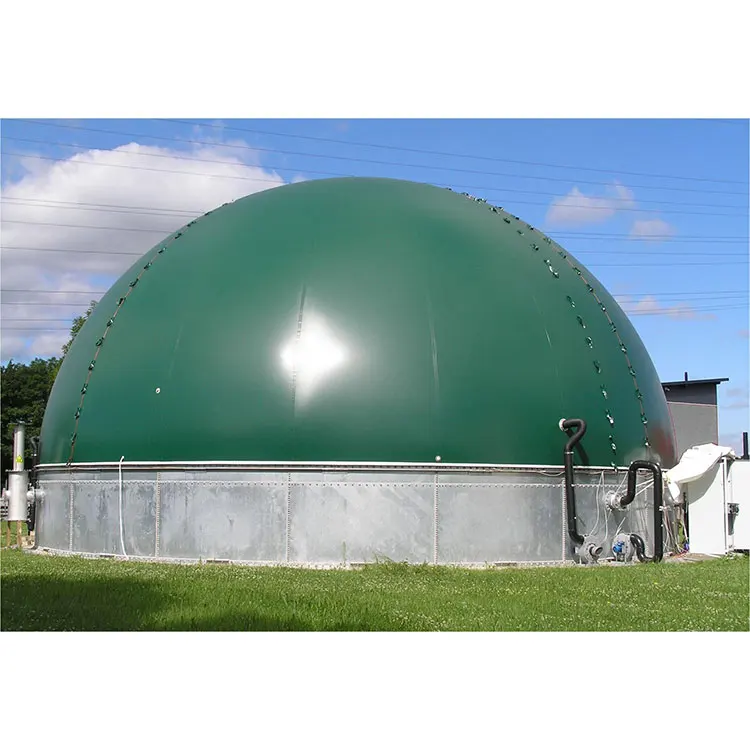 Biogas plant biodigestor polietileno production puxin with double membrane gas holder for waste