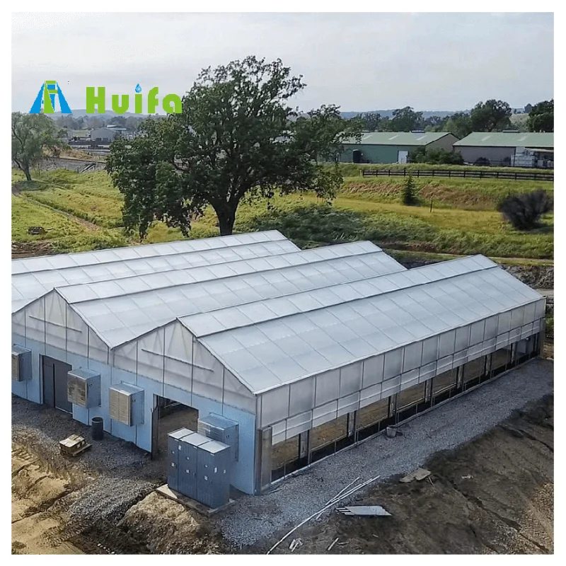 PC Sheet Frame Green House Plant Growing Commercial Greenhouse Kit House Hot Sale