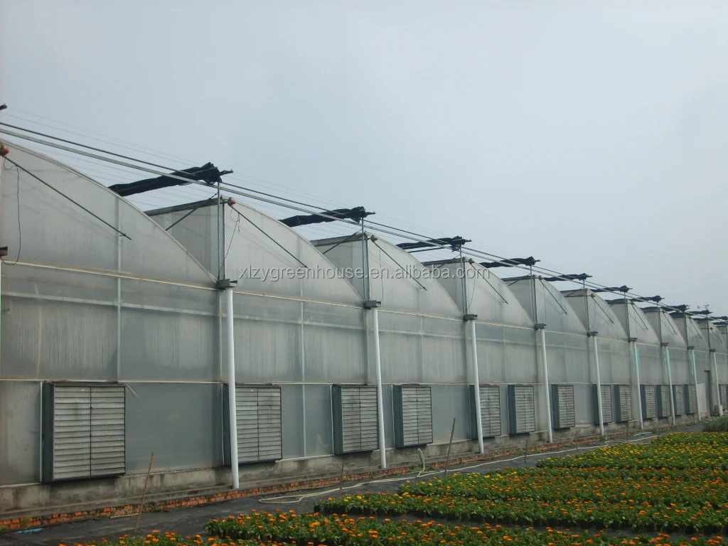 CHOYUEH 550W Customized 36 inch 50 inch poultry farm fan cooling ventilation exhaust fans and pads with excellent cooling system