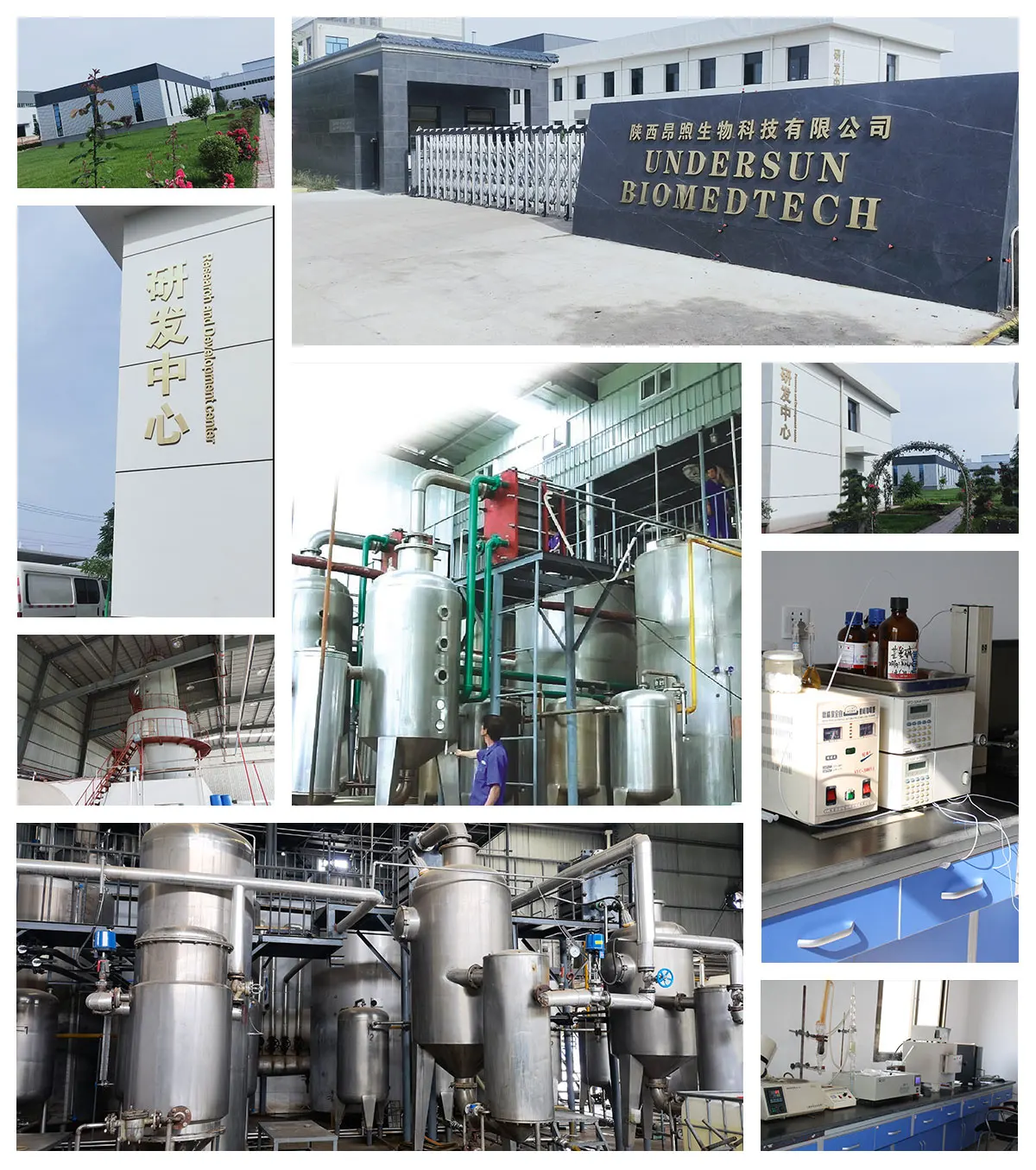 Factory supply Natural Marshmallow Root Powder/Marshmallow Extract