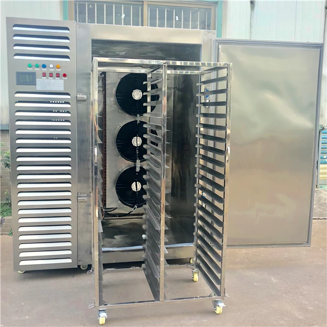 Meat Processing Blast Freezer - Industrial Strength & Rapid Cooling Cryogenic Freezer, Perfect for Delicate Foods.