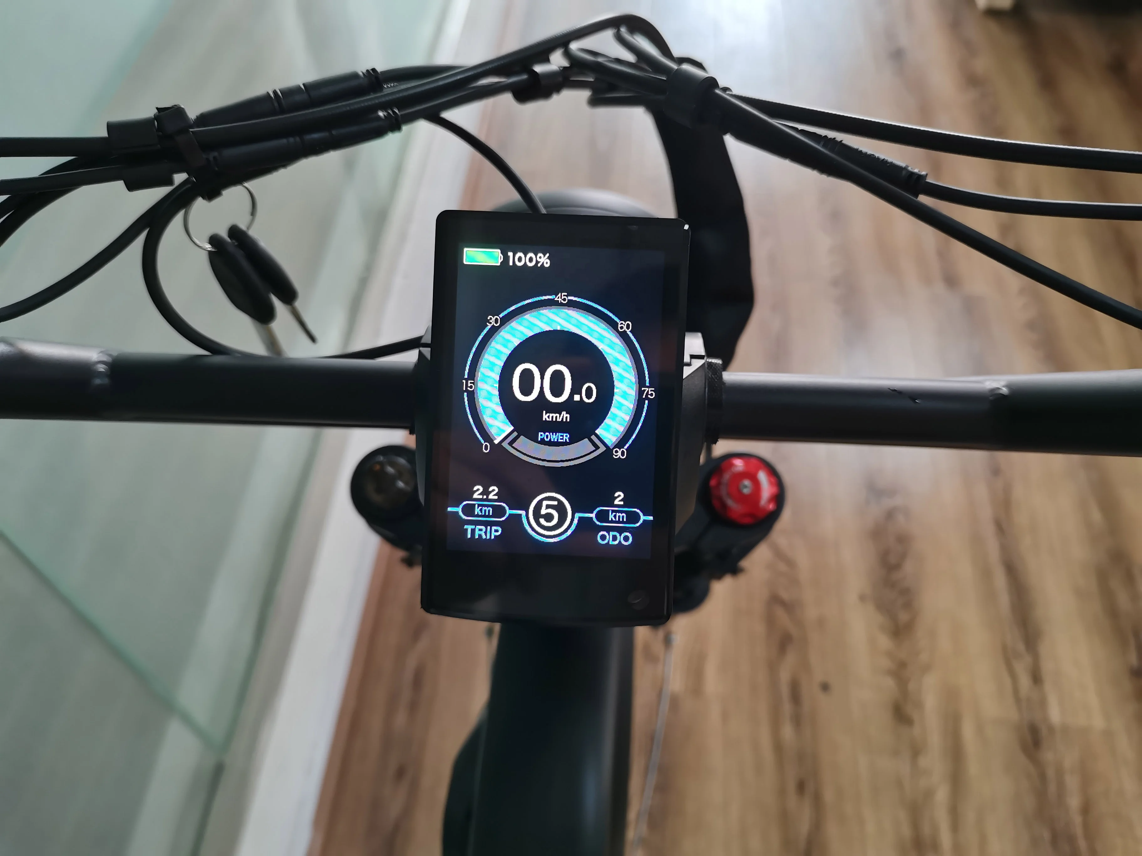 QUEENE/1000w Big Power Fat Tire Electric Bike/snow Ebike/ super electric Beach Cruiser Bicycle