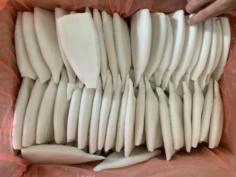 Frozen Squid Tube  U5 U7 U10