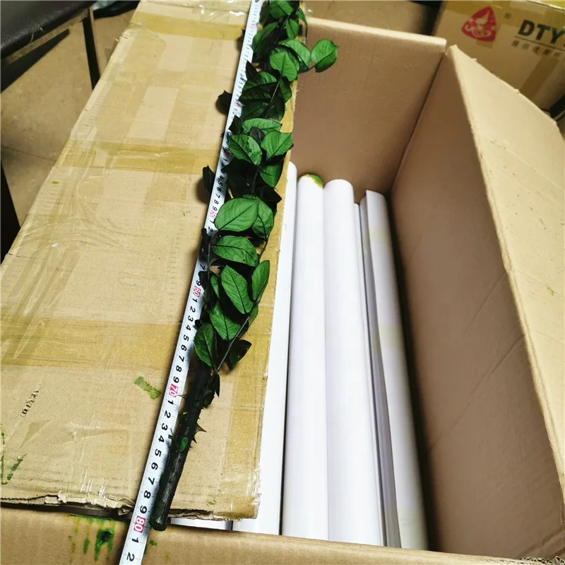Best quality preserved rose stem 70cm long lasting rose stem real rose stem wholesale