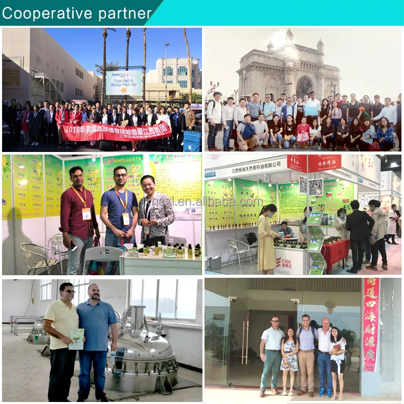 Exhibitors and customers