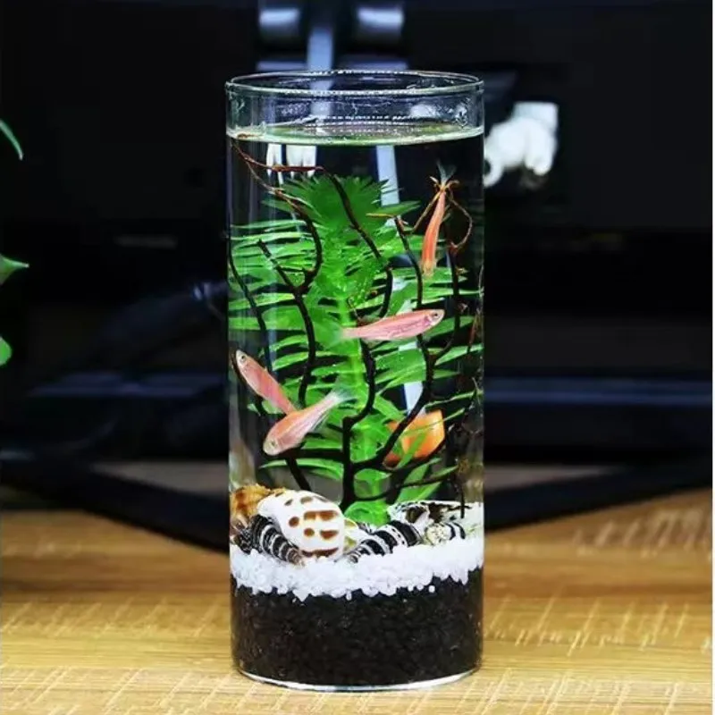 Nordic Tall Cylinder Clear Glass Vase Home Decor Wedding Desktop Micro Landscape Tree Bonsai Small Tabletop Vase Transparent