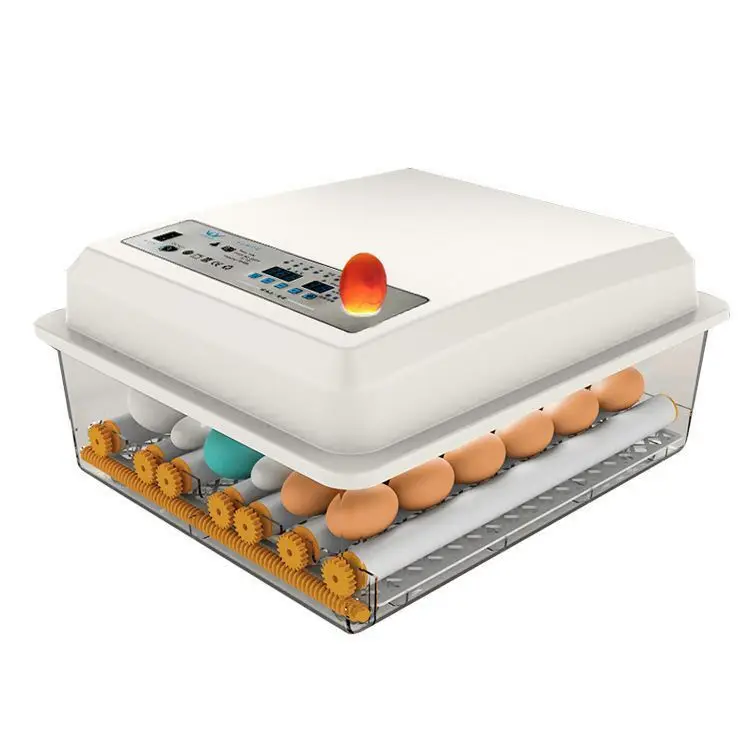 new hot selling products fish egg incubator 200 chicken egg hatching machine for sell