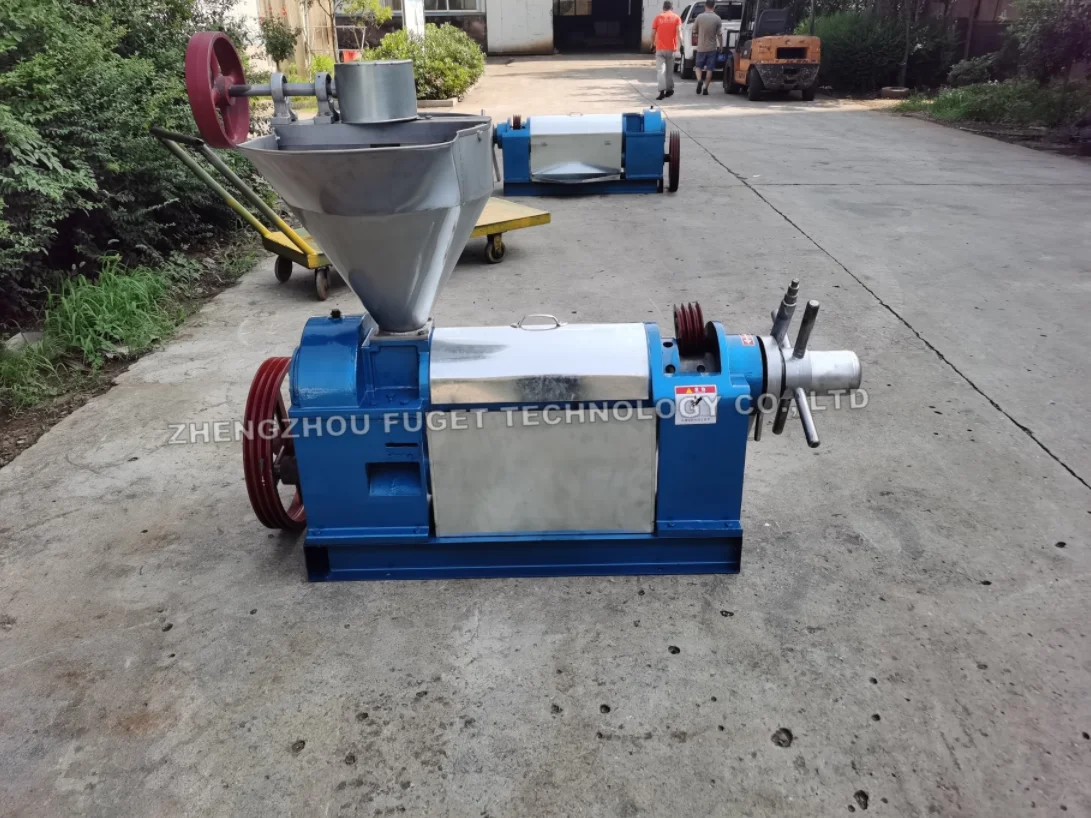 small 6YL-80 safflower sunflower soybean olive palm peanut oil press mill expeller machine
