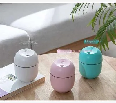 Dropshipping Portable Air Humidifier Wholesale USB Cute Ultrasonic Humidifier