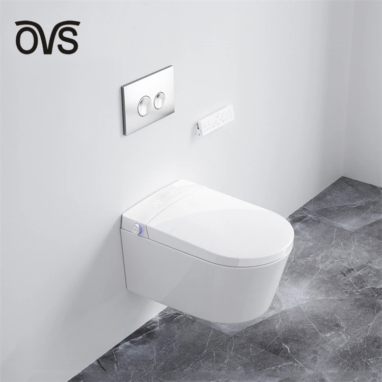 Ovs Washdown Bathroom One Piece Wc Toilet Water Closet Ceramic Tankless Matt Color Wall Hung Toilet