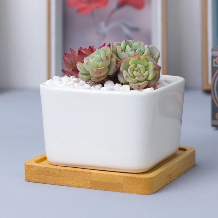 Custom white mini ceramic square succulent planter flower pot