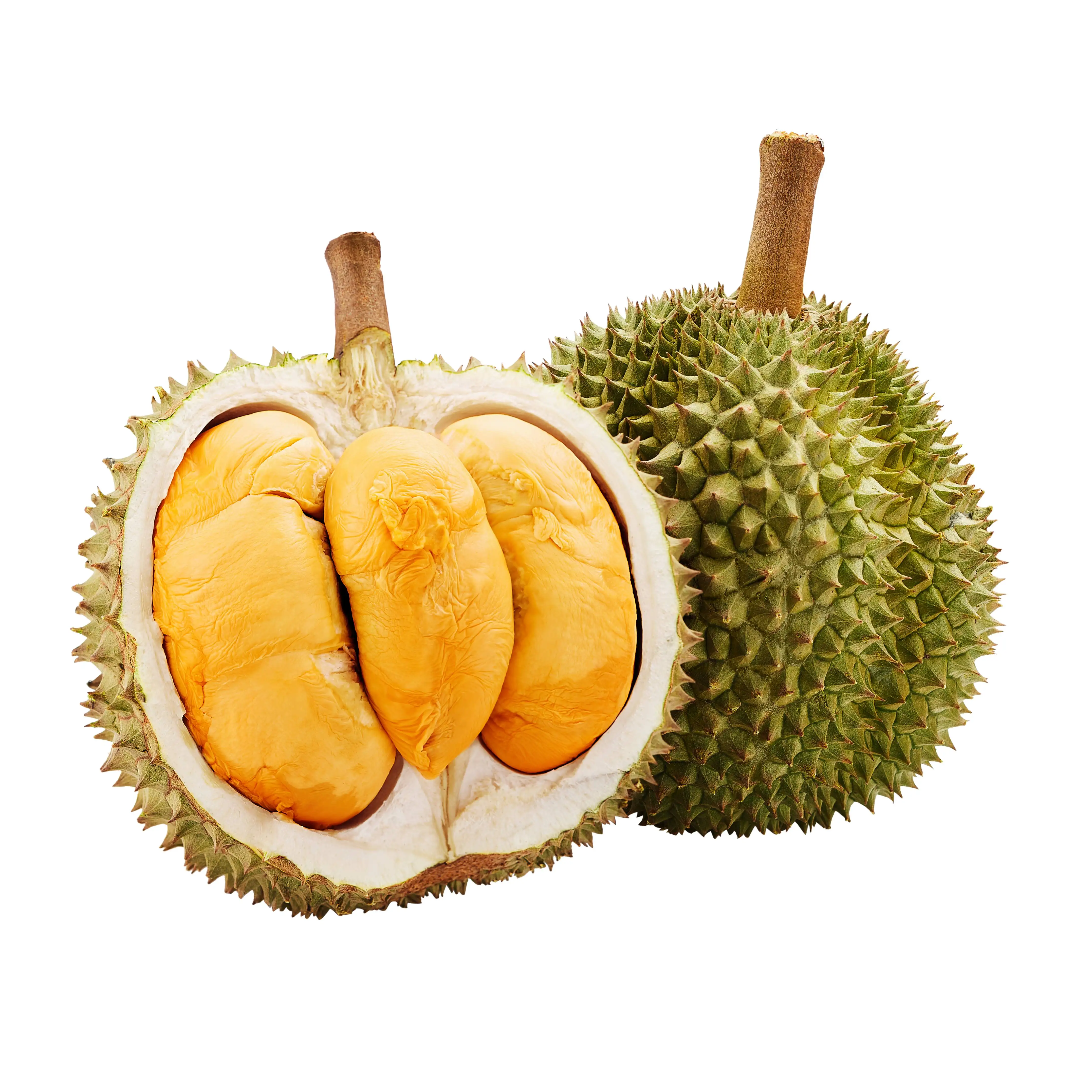 Attractive Pricing Best Seller D200 From Raub Pahang Malaysia Black Thorn Premium Grade Delicious Fresh Whole Fruit Durian