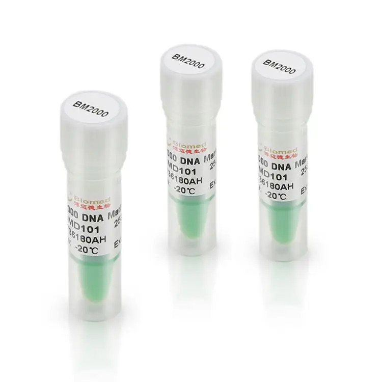 China Factory Professional High Performance DNA Ladder Marker