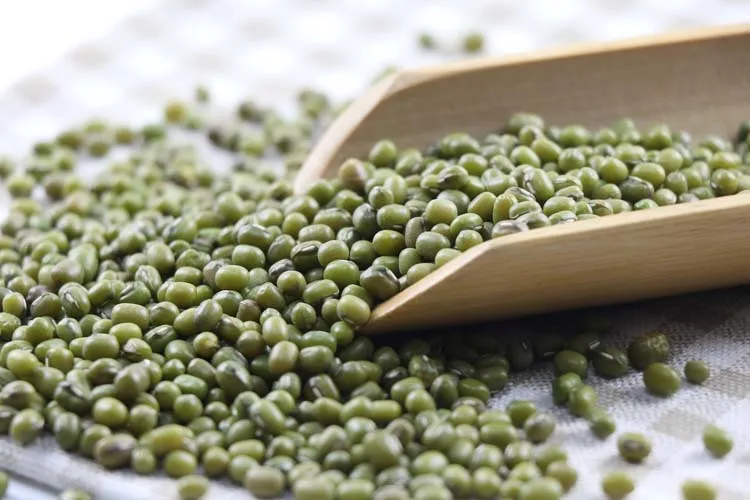 Sell large quantities of dried mung beans wholesale