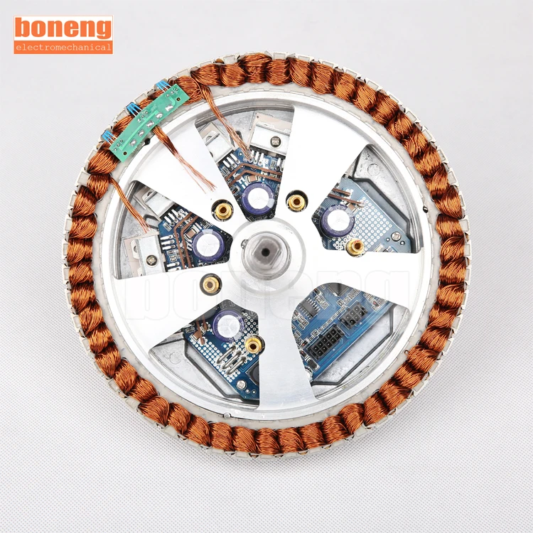 12 Inch Rear 1000w 60v Brushless Hub Motor Electric Bicycle