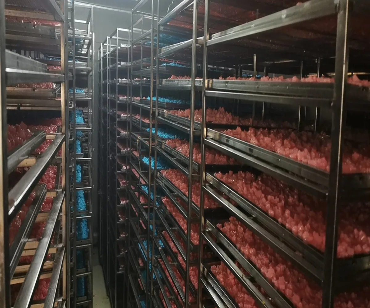 Wholesale Beauty Gummy Candy Private Label Beauty Supplements For Hair Skin Nails Biotin Vitamin C Keratin Chewable Supplement