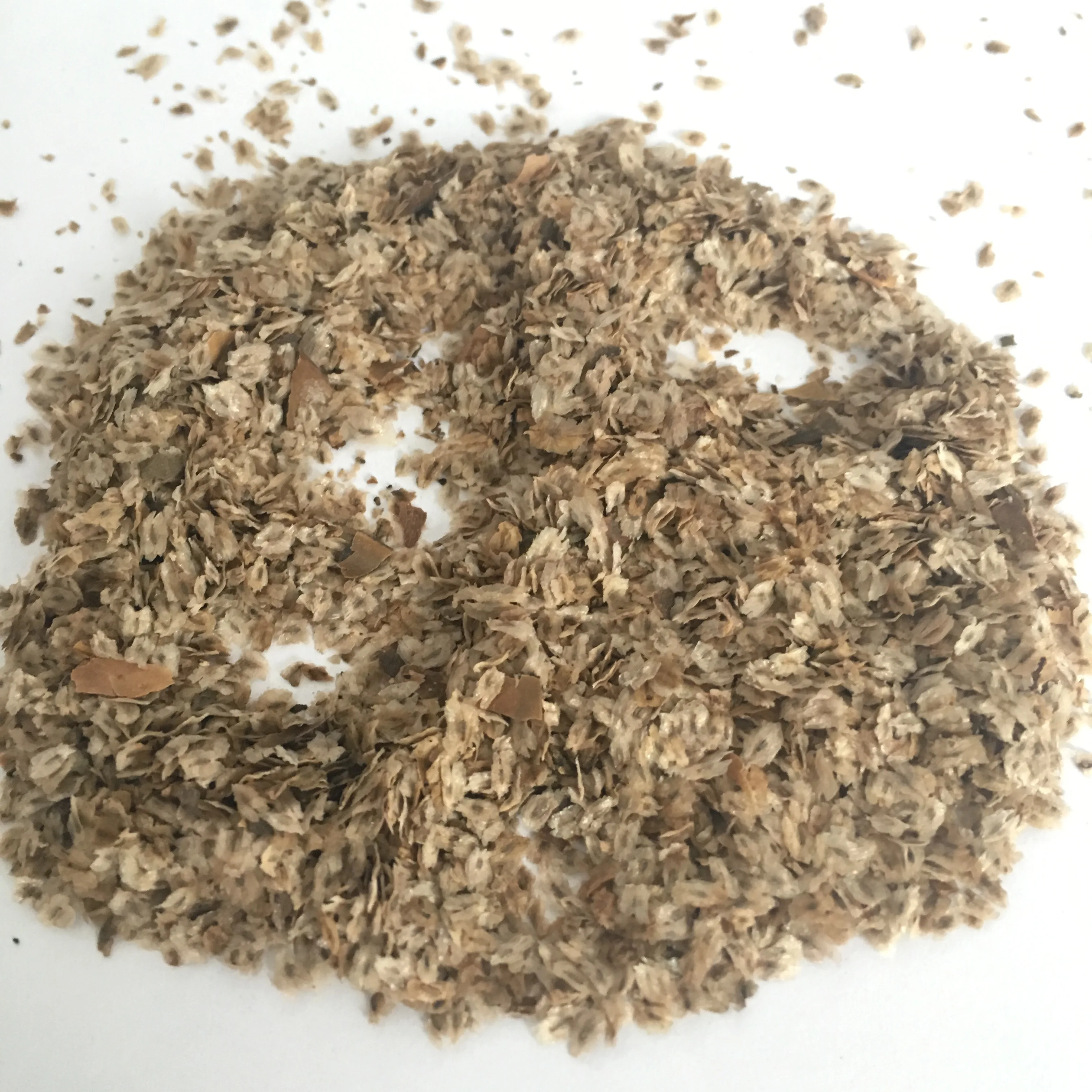 
S321 Pao tong High Quality Chinese Wholesale Hot Supply Chinese Paulownia Seed 