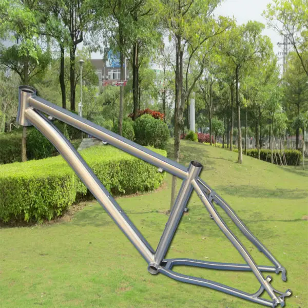 China cheap titanium 27.5 frame eyeglass frame love photo frame