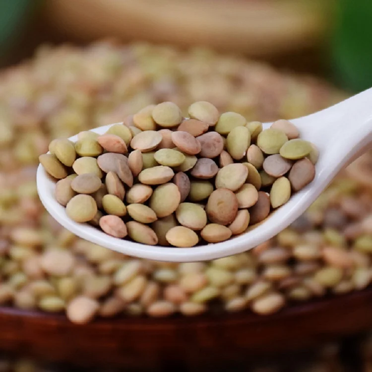 Top quality of new crop2021 Chinese Lentils