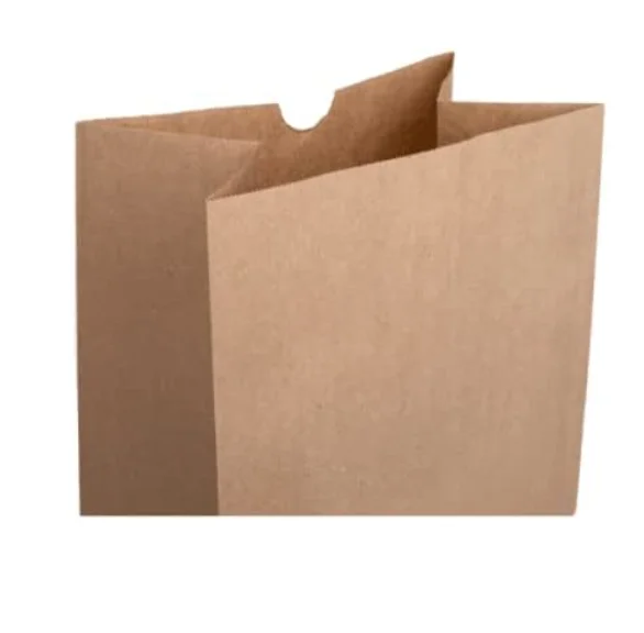 Kraft Paper Bags, Pack Of 500 Bags (3 LB, Brown)