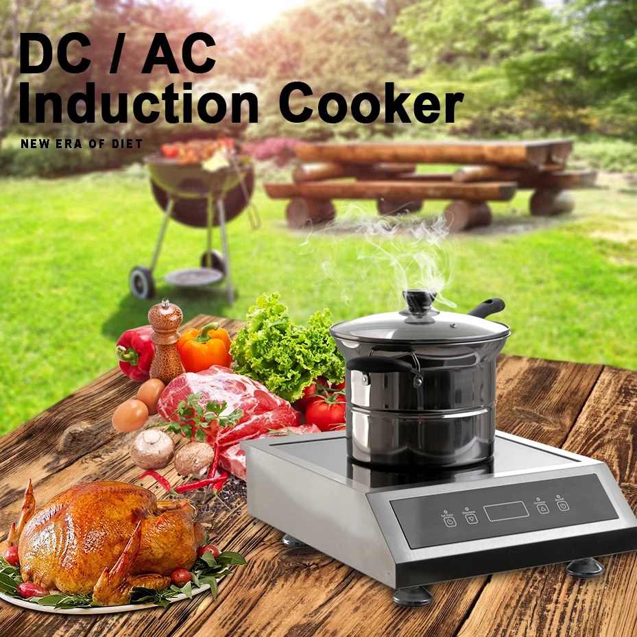 Solar Induction Cooker DC Solar Power Induction Cooker with Panel Solar Stove for Camping