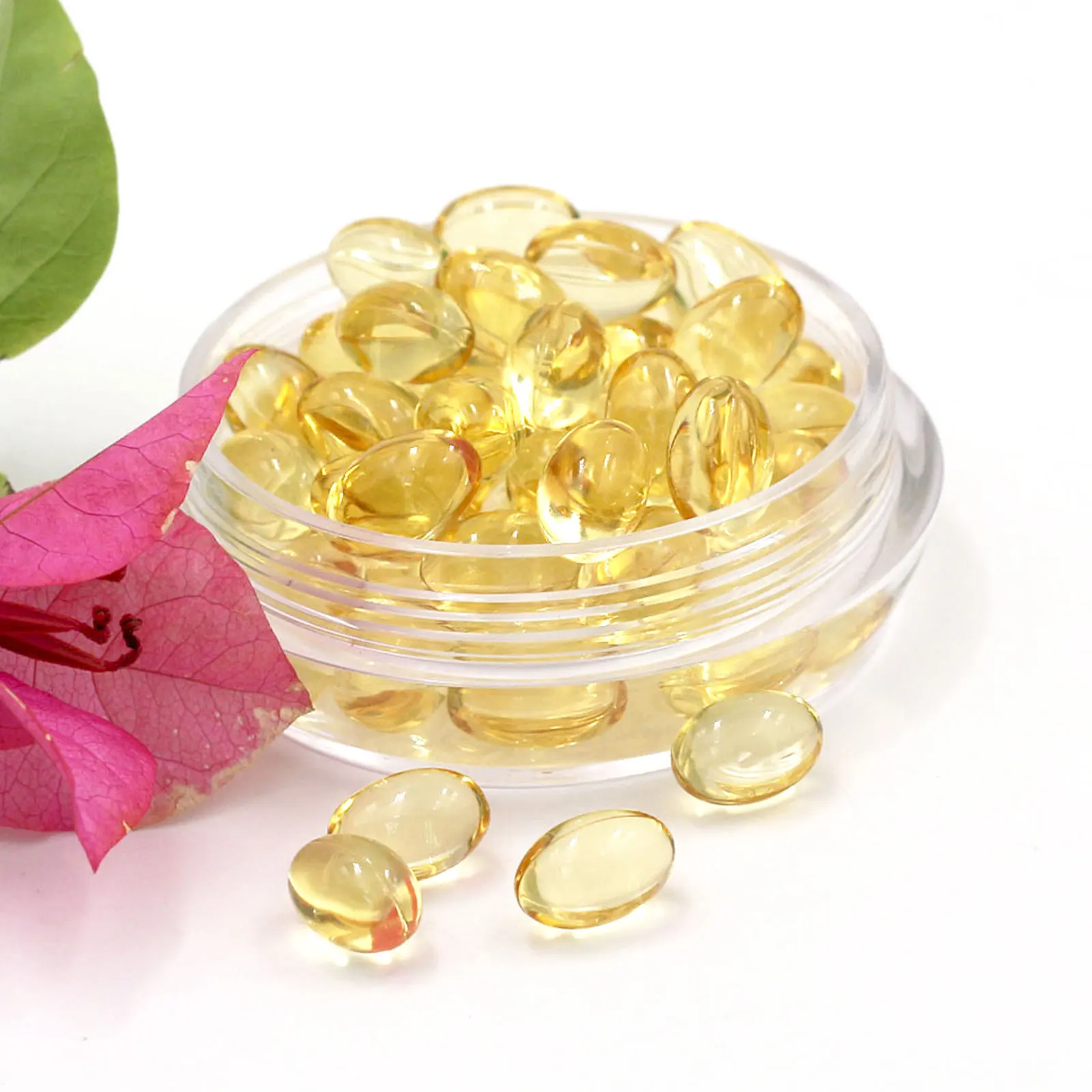 OEM/ODM Ganoderma lucidum Spore Oil Soft Capsules organic Reishi mushroom softgels Natural extract