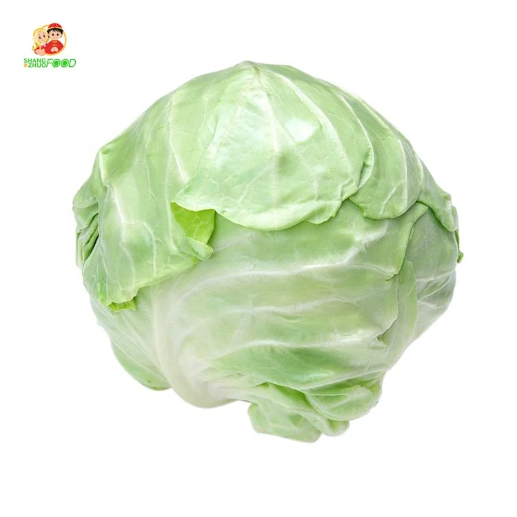 Fresh Vegetables Cabbage Bulk Organic Green Round