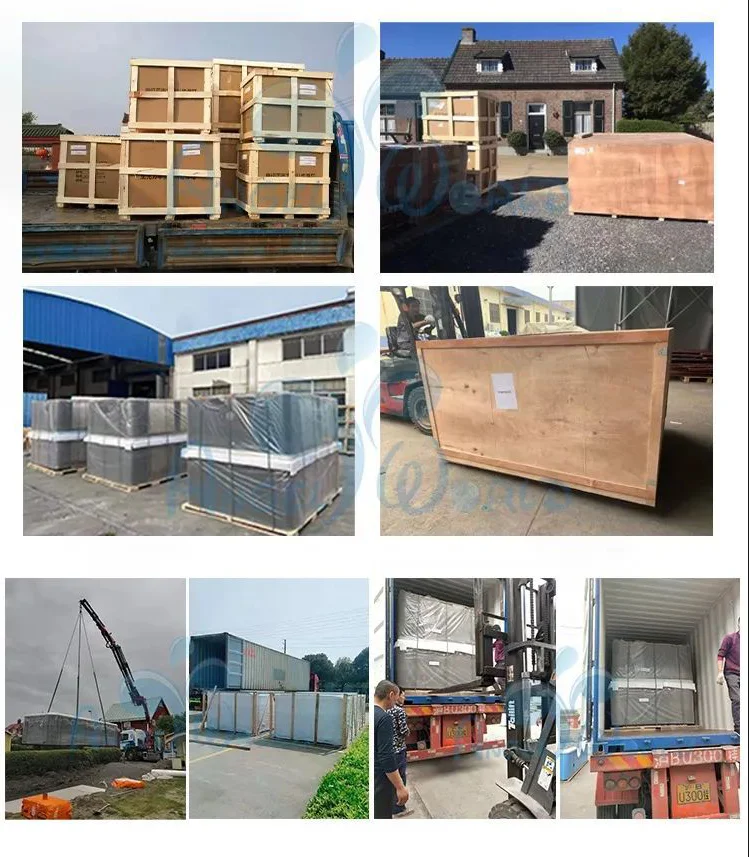 paste-pic-dp_uuid_qzqyw