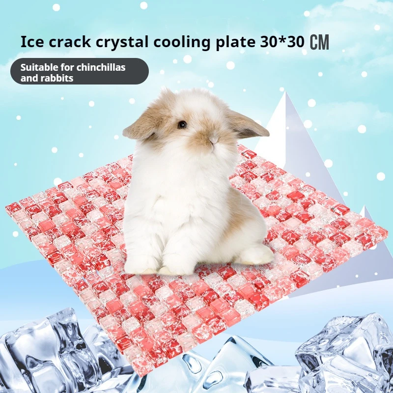 Customizable Multi-functional Coolable Hamster Igloo Made Of Eco-friendly Ceramics