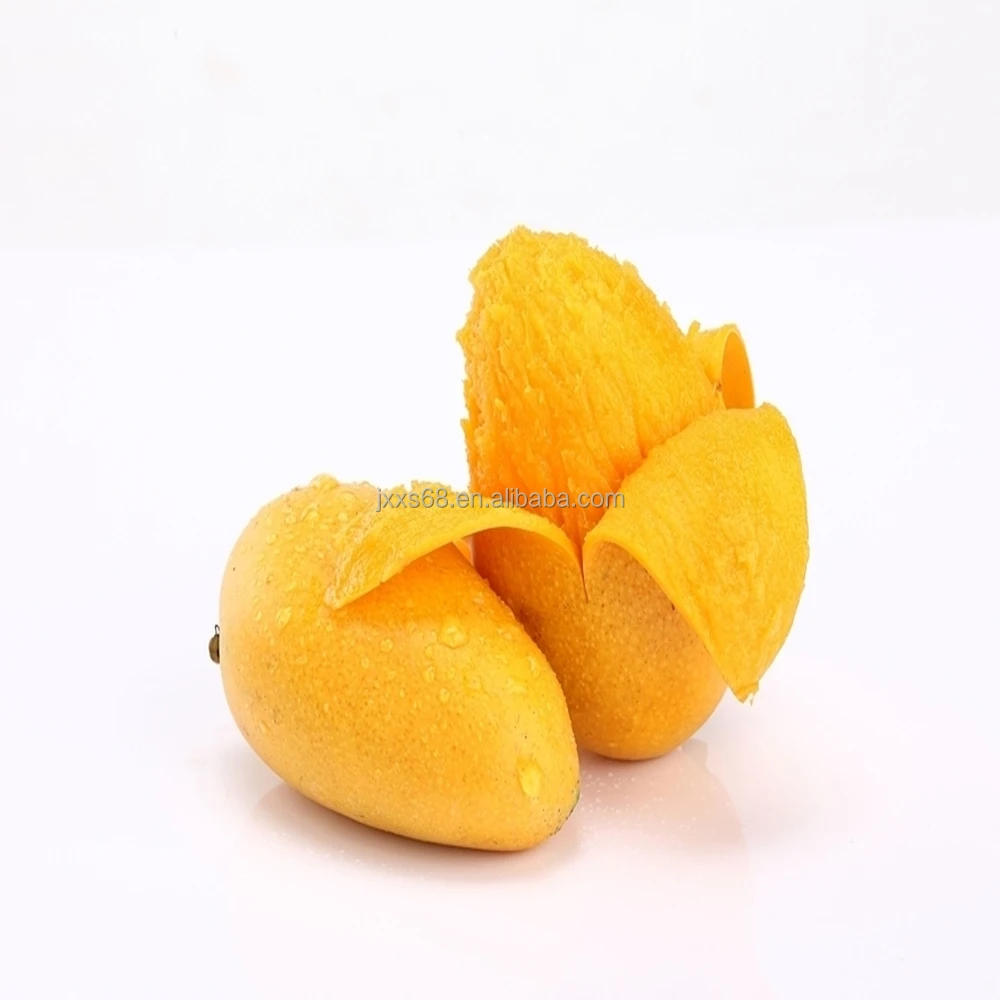 Factory Wholesale Bulk Organic Cocoa Butter Manufacturer Raw Cocoa Butter Shea Mango Pure West Africa Cocoa Butter