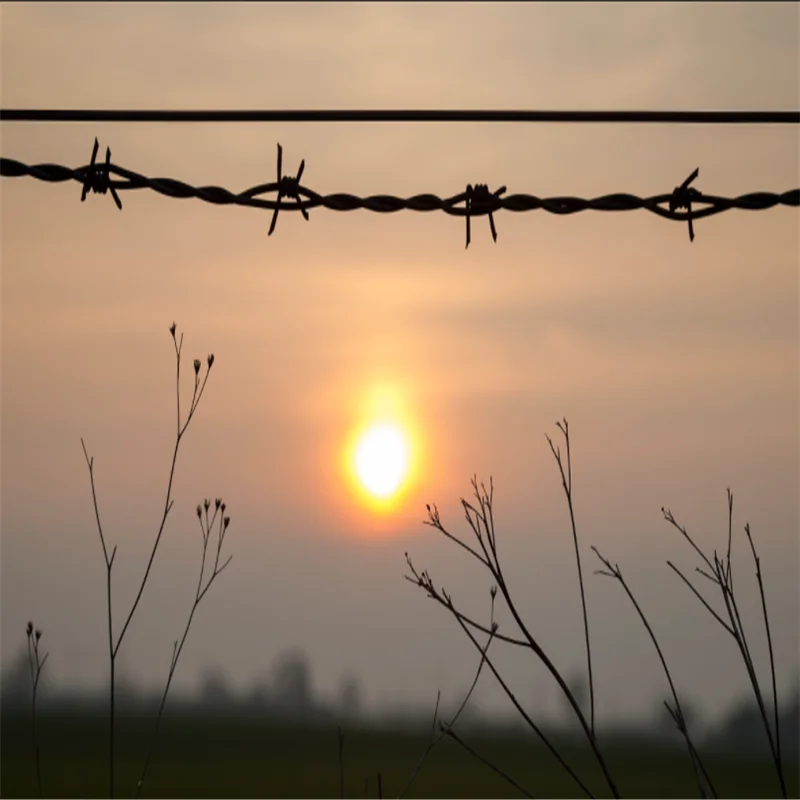 Barbed wire roller 12.5 gauge raw material barbed wire roll