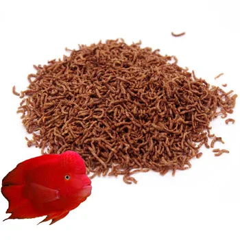 100% Natural Freeze Dried Blood Worms