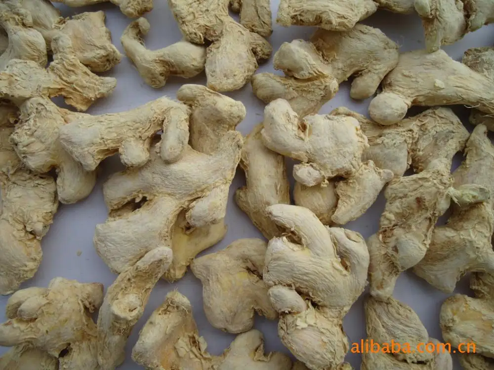 
Nature Dried Ginger Herbs low price whatsapp 0086 15033553260 