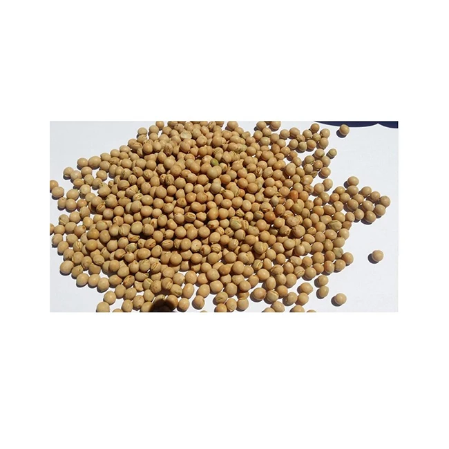 Healthy Delicious Natural Good High Quality And Hot Selling Dry Pigeon Peas From Ethiopia In Bulk