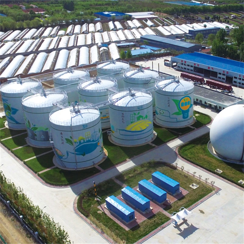 Лучшее качество биогазовый десульфуратор фильтр для менее агрессивного разделения аминового раствора оборудование очистки биогаза