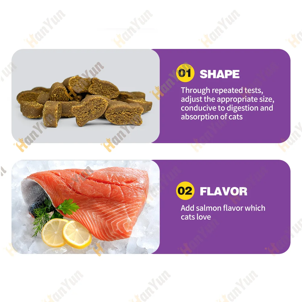 OEM ODM Best wholesale OEM beef flavor bulk dry kitten hip+joint cat food for all stages cats