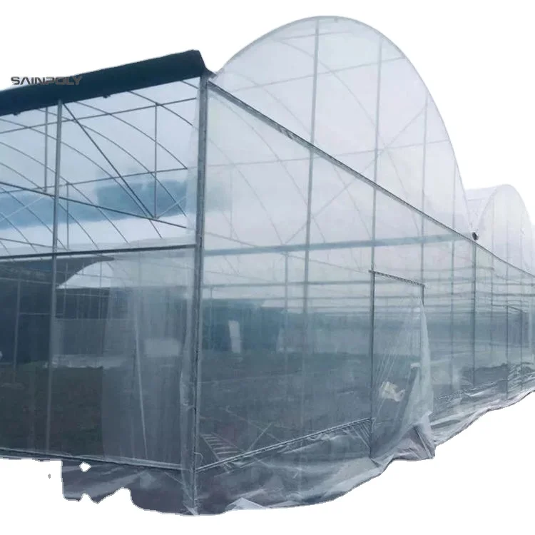 Sainpoly low cost multi span greenhouse Agricultural Equipment  autom 40x100 Film greenhouse for sale