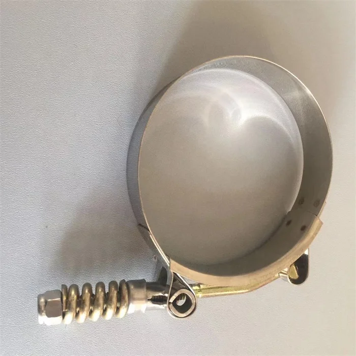 19mm Bandwidth Spring Heavy Duty T Bolt 304 spring hose clamp