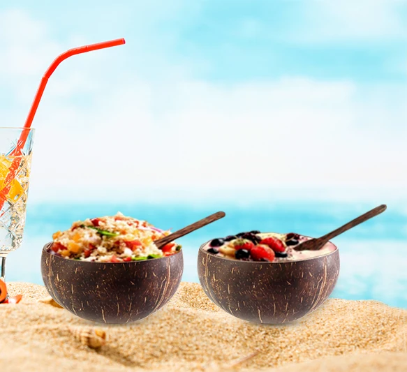 Wholesale Natural Organic Handmade Smoothie Serving Coconut Shell Bowls Spoon Set Salad Coconut Bowl with Cover