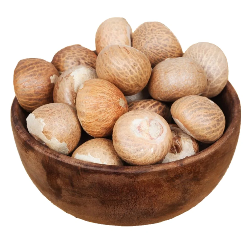 Top Quality Organic Betel Nut SIZE 60/65 Supply Best Selling 100 % Natural Brown Color Dried Betel Nut
