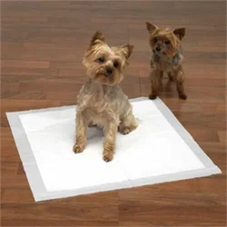 Hot - selling urine absorption pet pads with low price customizable colors