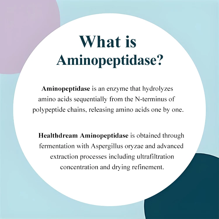High Quality Aminopeptidase Enzyme Powder 5000U/g Low Price