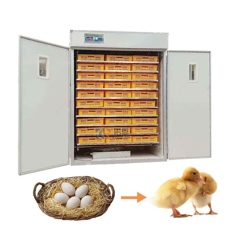 Hot Sale 50000 Pcs Egg Turn Timer For Incubator In Morocco 10000 Hatching Machine