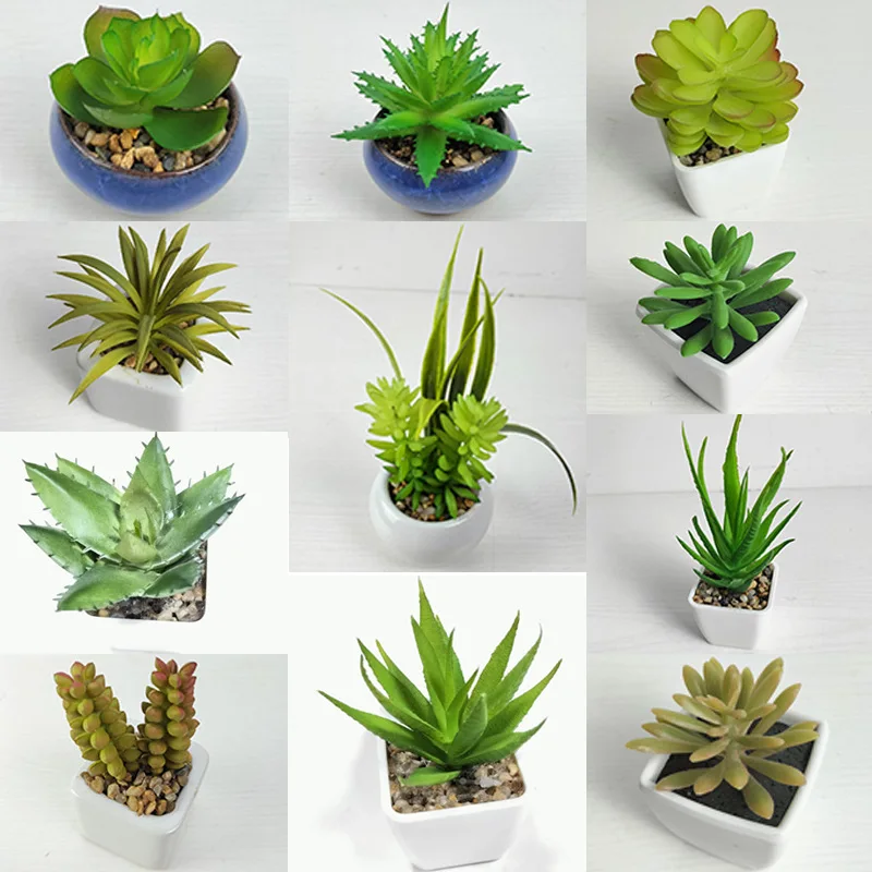 Mydays Artificial  Plastic Succulents Plant Small Mini Potted Succulents for Home Office Living Room Desk Decor
