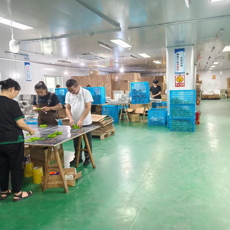 production of 15 in 1 multi-functional vegetable cutter onion potato shredding can be customized can be purchased directly