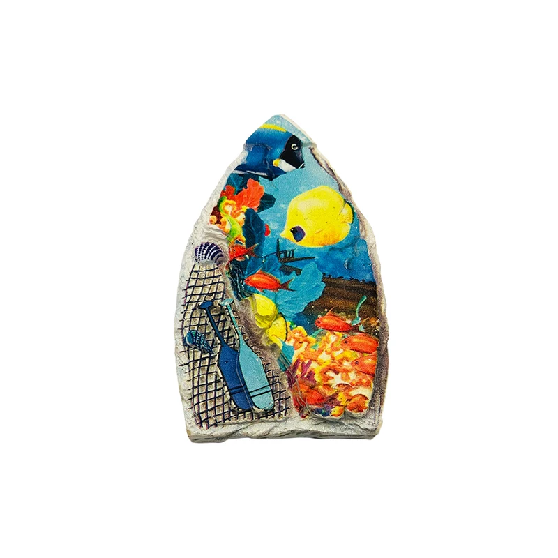 Modern Design Medium Size Magnetic Stickers Shape Style Fridge Magnets Versatile Kitchen Accessory