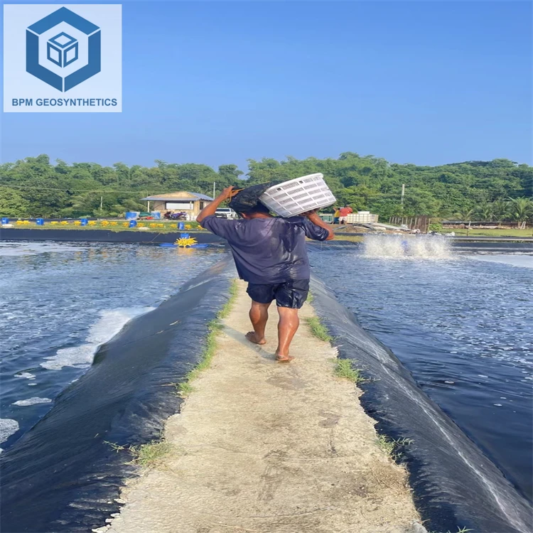Pond Liners Aquculture Material High Density Pond Liner for Aquaculture Shrimp in Thailand
