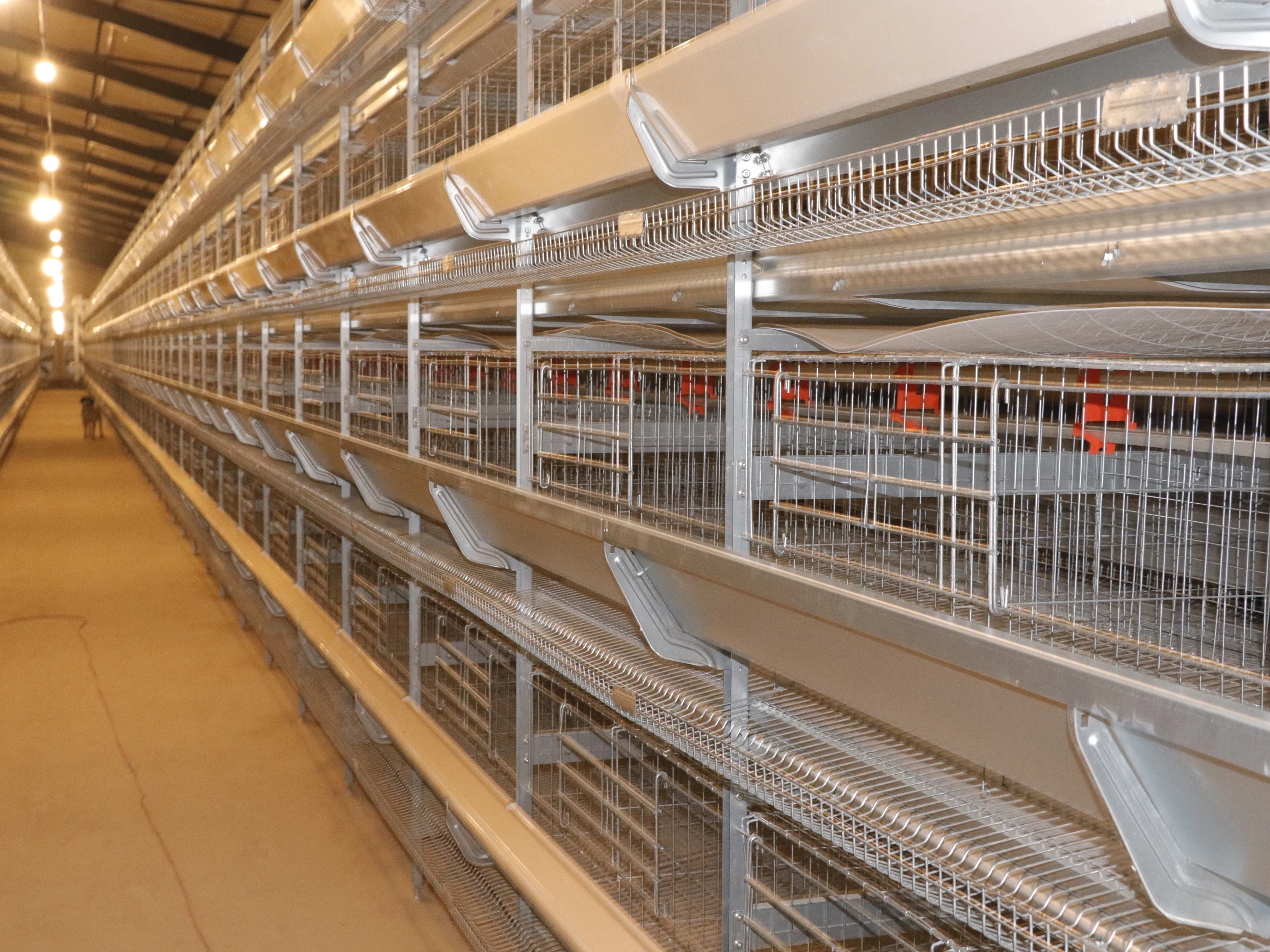 hen farm breeding automatic laying chicken cage system