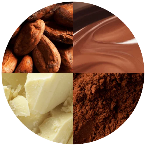 Factory Price Alkalized Dutch Dark Cocoa Powder 25kg Bag or Box Raw Cacao from Ghana